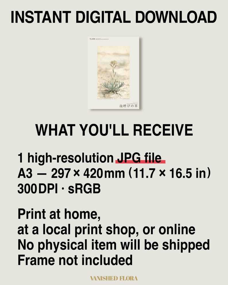 Kruidenprint voor een frisse adem – Botanische studie van Sodaphyton pannonicum (digitale download) afbeelding 8