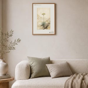 Crumbling-edge Herb Botanical Print – Extinct Bardenas Badlands Flora (Digital Download) image 4