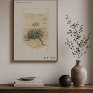Wandering Tumbleweed Botanical Print – Speculative Desert Herb (Digital Download) image 3