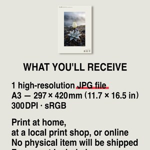 Mist Bell Photograph – Extinct Azores Bog Flower, Gothic Dark Academia Wall Art (Digital Download) image 8