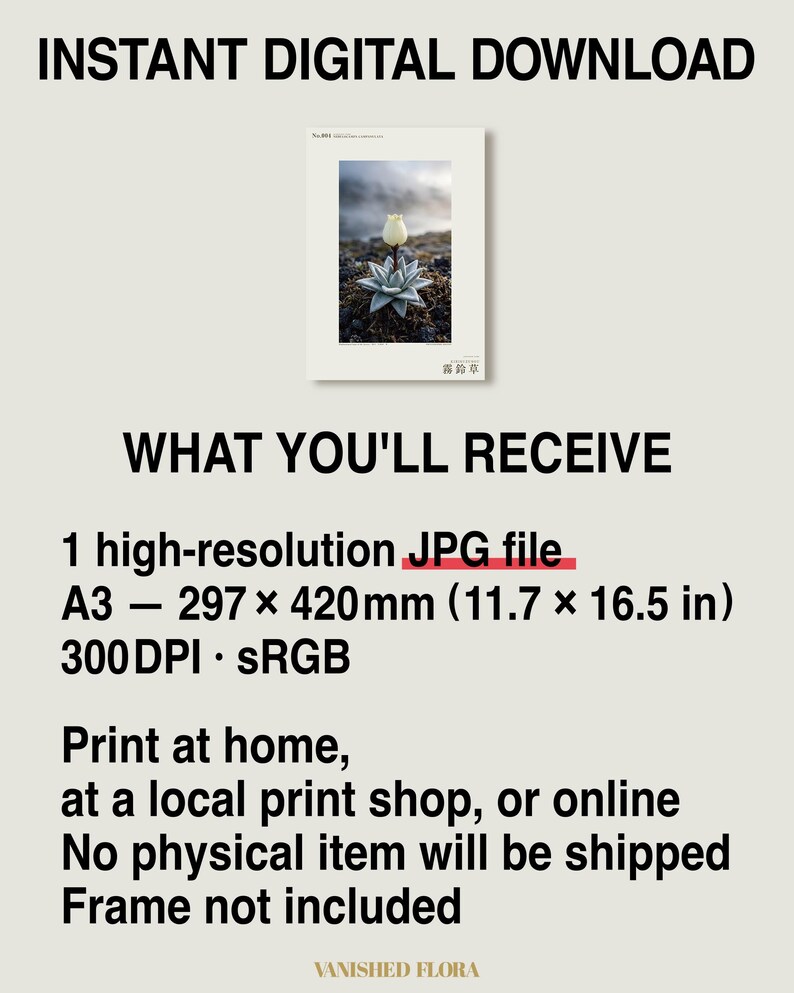 Mist Bell Photograph – Extinct Azores Bog Flower, Gothic Dark Academia Wall Art (Digital Download) image 8