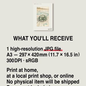 Salt Ember Specimen Print – Imaginary Uyuni Salt Flat Flower, Botanical Study (Digital Download) image 8