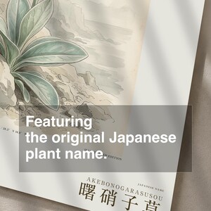 Imaginary Botanical Print – Aurora Glasscup, Canary Islands Lava Flower (Digital Download) image 6