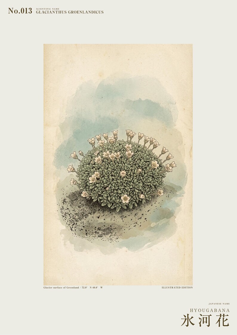 Glacier Bloom Botanical Print – Fictional Greenland Flower Art (Digital Download) image 2