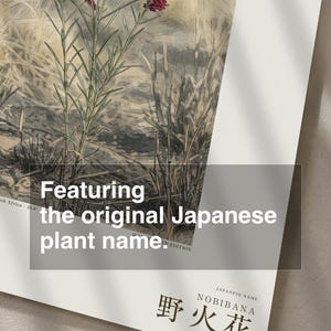 Fireborn Bloom Print – Pyrophila Resurgens, Extinct Cape Flower, Dark Academia Wall Art (Digital Download) image 6