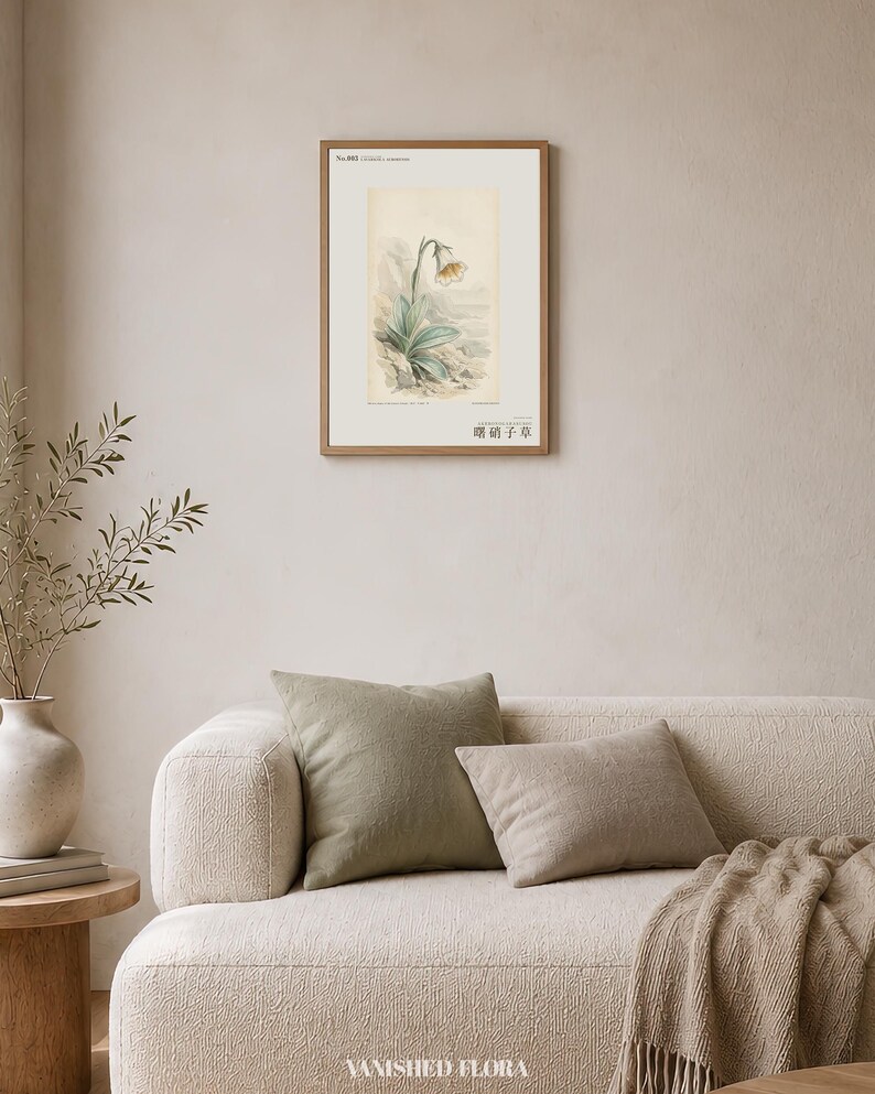 Imaginary Botanical Print – Aurora Glasscup, Canary Islands Lava Flower (Digital Download) image 4