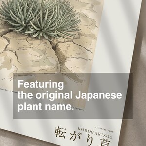 Wandering Tumbleweed Botanical Print – Speculative Desert Herb (Digital Download) image 6