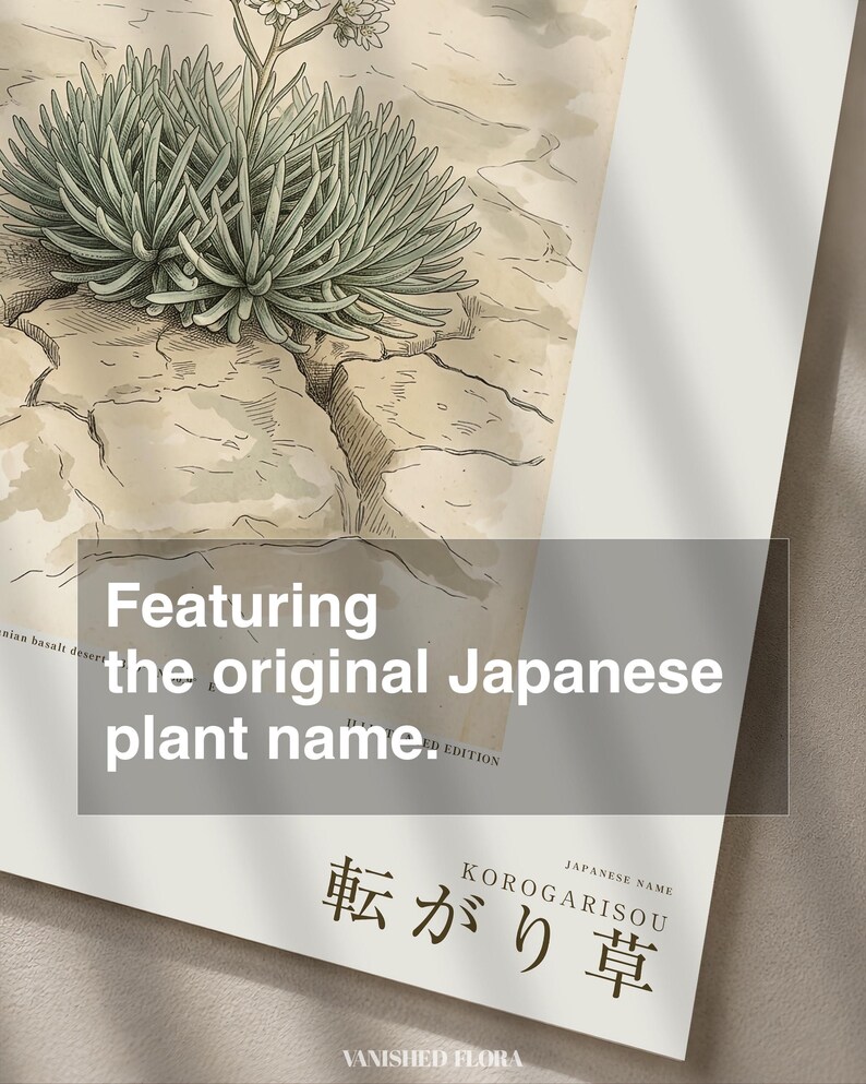 Wandering Tumbleweed Botanical Print – Speculative Desert Herb (Digital Download) image 6