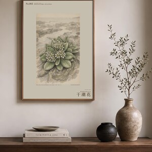 Extinct Shore Flower Print – Aestulittora Atlantica, Hebrides Botanical Art (Digital Download) image 3