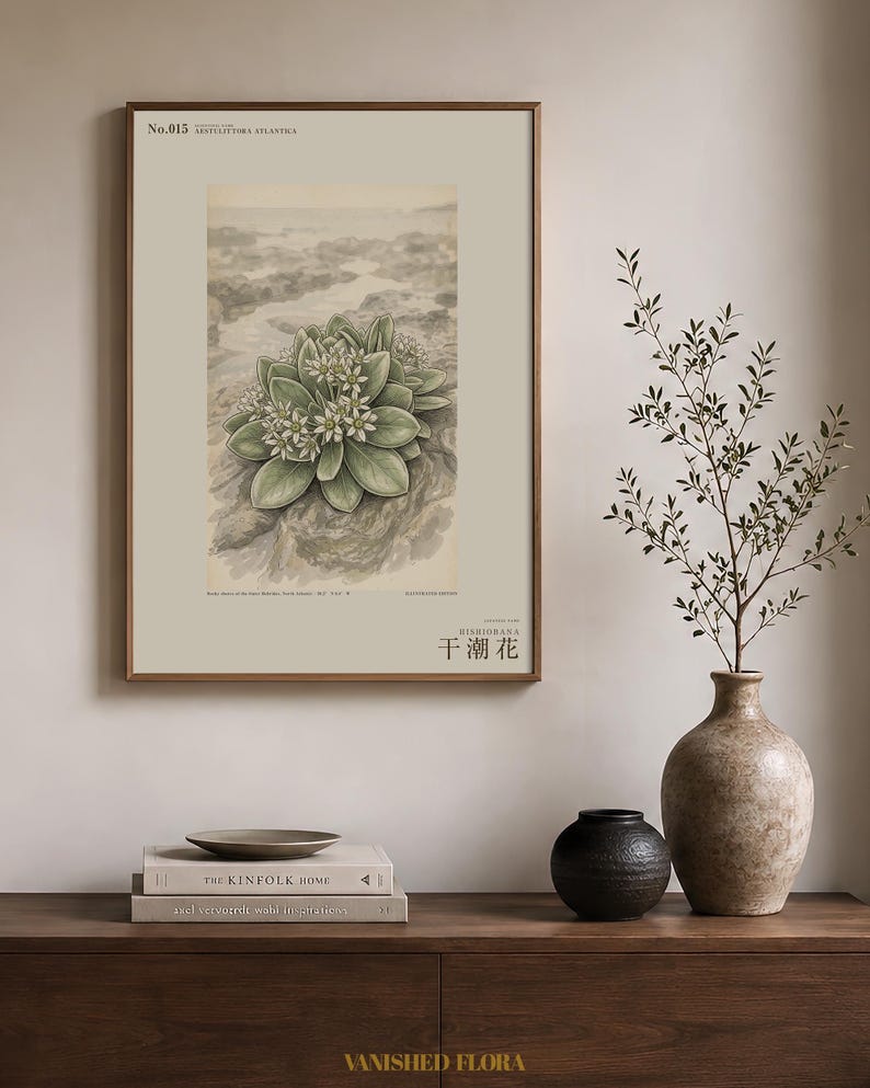 Extinct Shore Flower Print – Aestulittora Atlantica, Hebrides Botanical Art (Digital Download) image 3