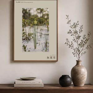 Aphyllanthe Essequibensis Photograph – Vanished Greenbrush Specimen, Dark Academia Art (Digital Download) image 3