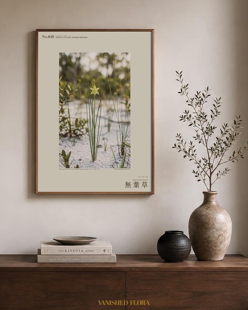 Aphyllanthe Essequibensis Photograph – Vanished Greenbrush Specimen, Dark Academia Art (Digital Download) image 3