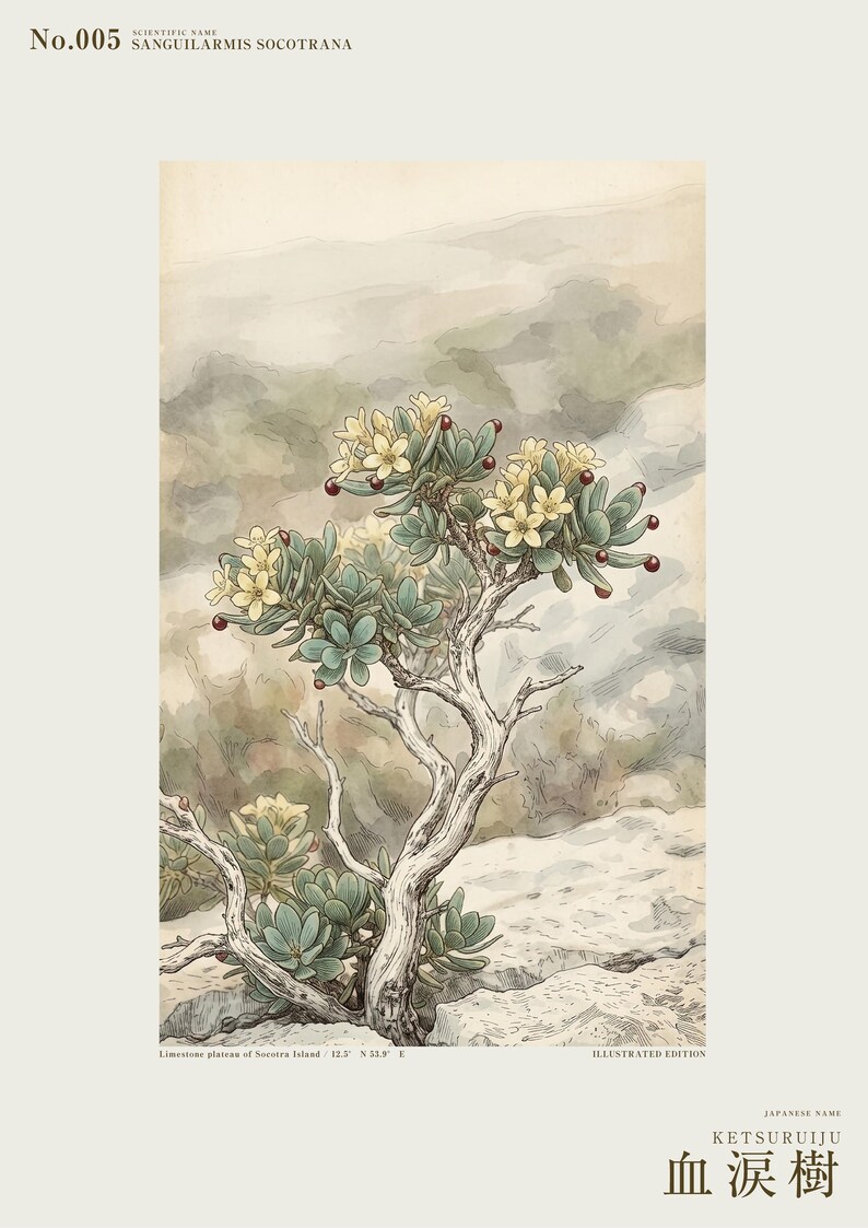 Socotran Bloodtear Print – Extinct Succulent Botanical Art (Digital Download) image 2