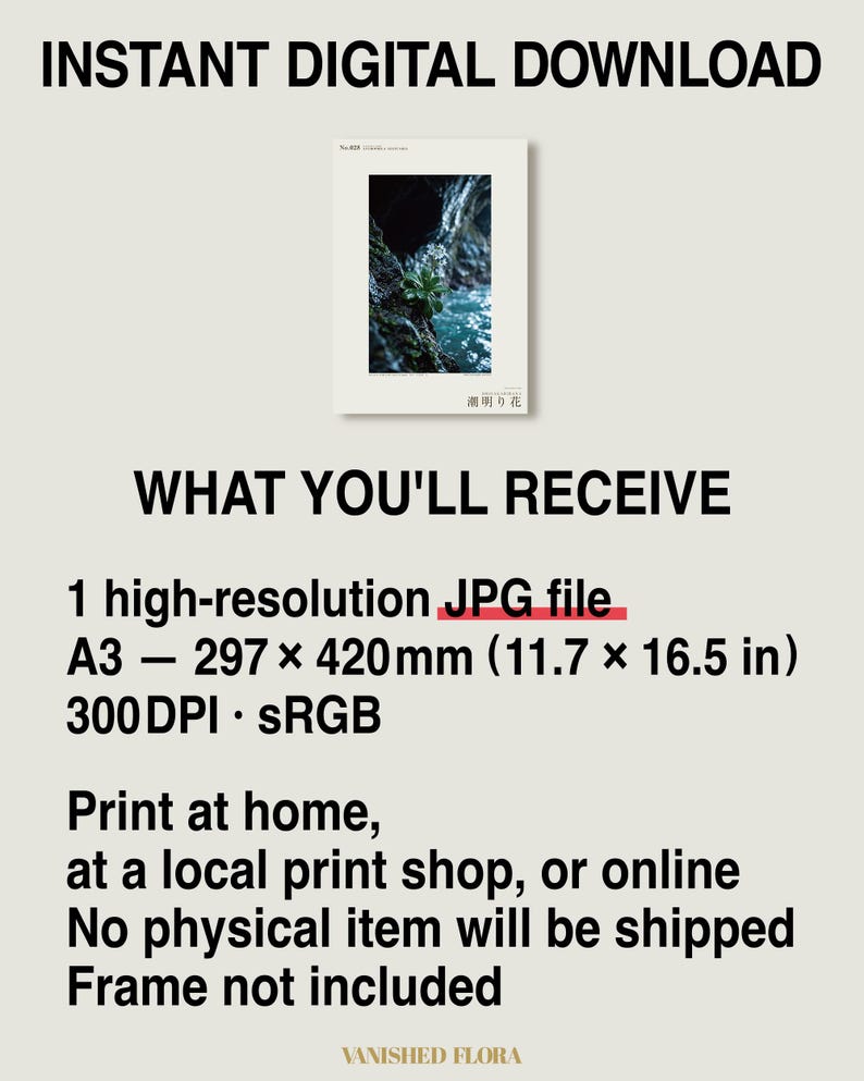 Tideglow Flower Print – Vanished Japanese Cave Flora, Gothic Wall Art (Digital Download) image 8