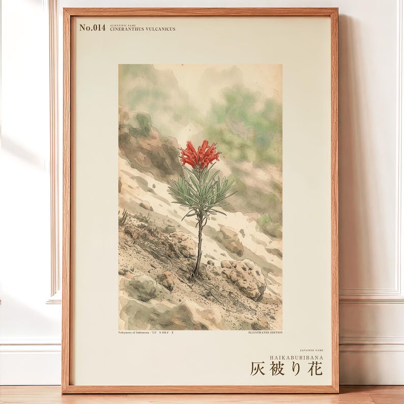 Ashveil Flower Print – Cineranthus vulcanicus, Moody Botanical Specimen (Digital Download) image 1