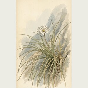 Cave-mouth Bloom Print – Antroflora luminis, Dark Academia Botanical Art (Digital Download) image 2