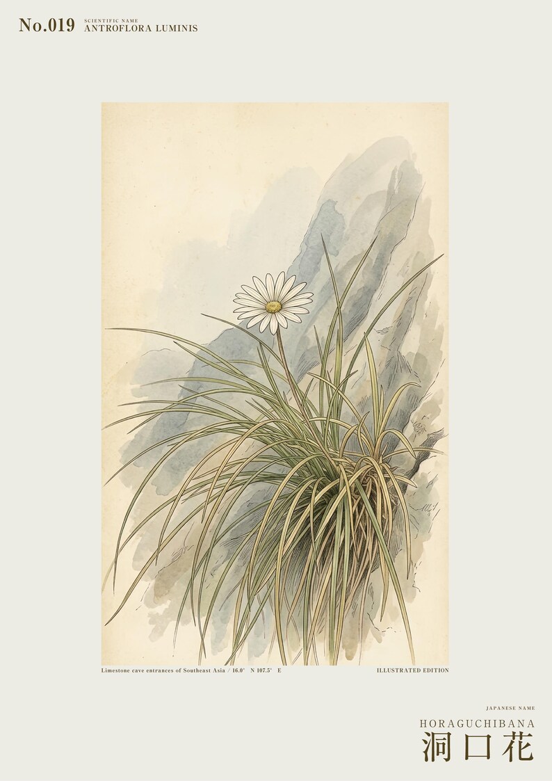 Cave-mouth Bloom Print – Antroflora luminis, Dark Academia Botanical Art (Digital Download) image 2