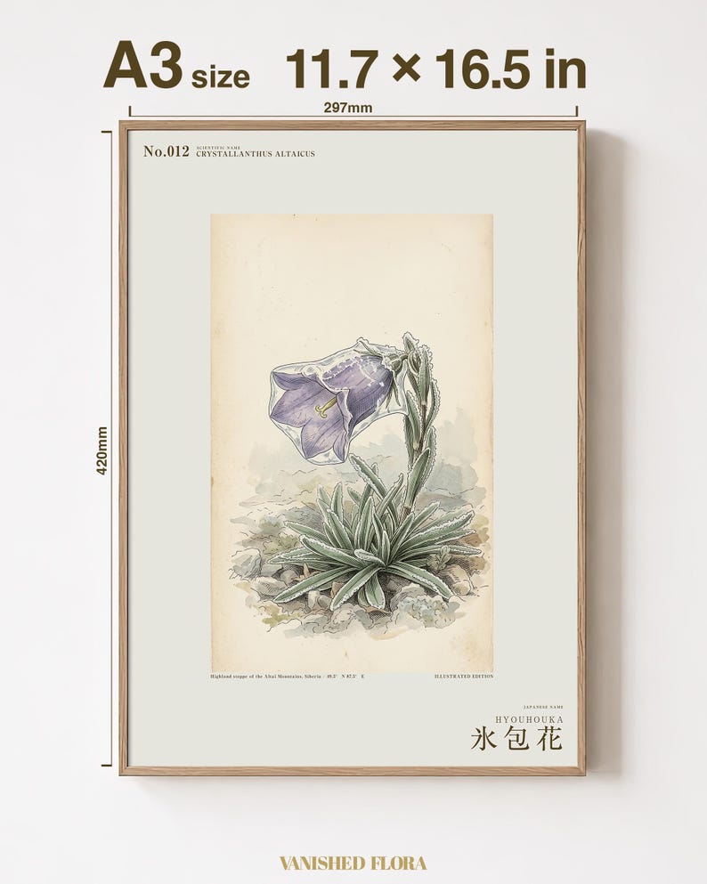 Ice-clad Bell Flower Print – Fictional Siberian Botanical Art (Digital Download) image 5