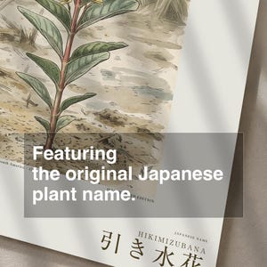 Stampa botanica del fiore di Ebbwater – Fioritura immaginaria del Pantanal, Recessa pantanalis (Download digitale) immagine 6
