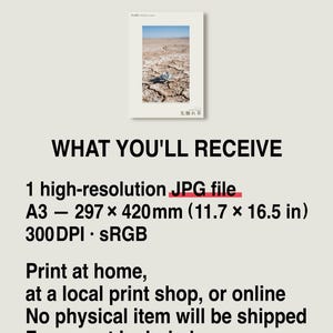 Forerunner Herb Photograph – Praesagia eyrensis, Fictional Succulensis, Moody Interiors Wall Decor (Digital Download) Bild 8