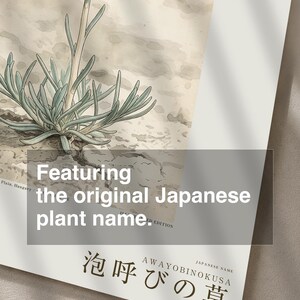 Kruidenprint voor een frisse adem – Botanische studie van Sodaphyton pannonicum (digitale download) afbeelding 6