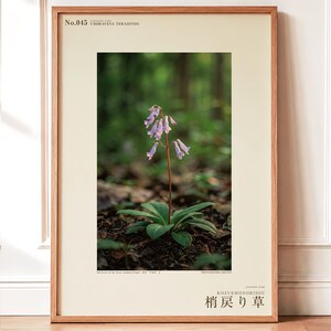 Imaginary Herb Print – Umbravena teraiensis, Dark Academia Botanical Art (Digital Download)