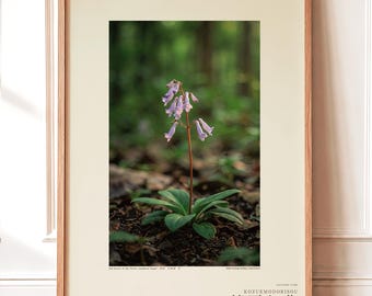 Imaginary Herb Print – Umbravena teraiensis, Dark Academia Botanical Art (Digital Download)