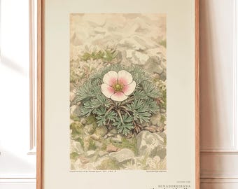 Fog Hourglass Botanical Print – Imaginary Atacama Desert Flower (Digital Download)