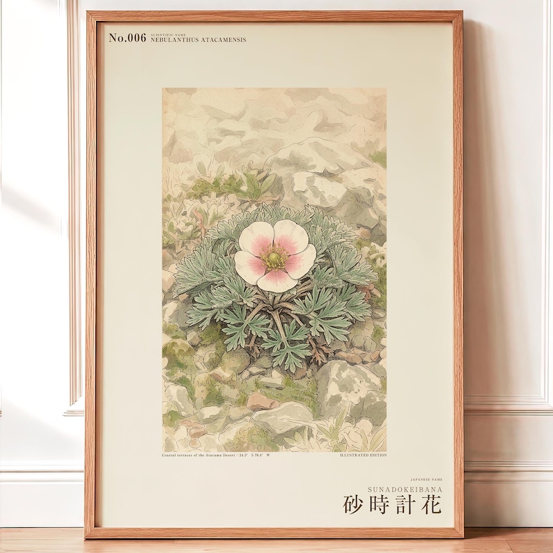 Fog Hourglass Botanical Print – Imaginary Atacama Desert Flower (Digital Download) image 1