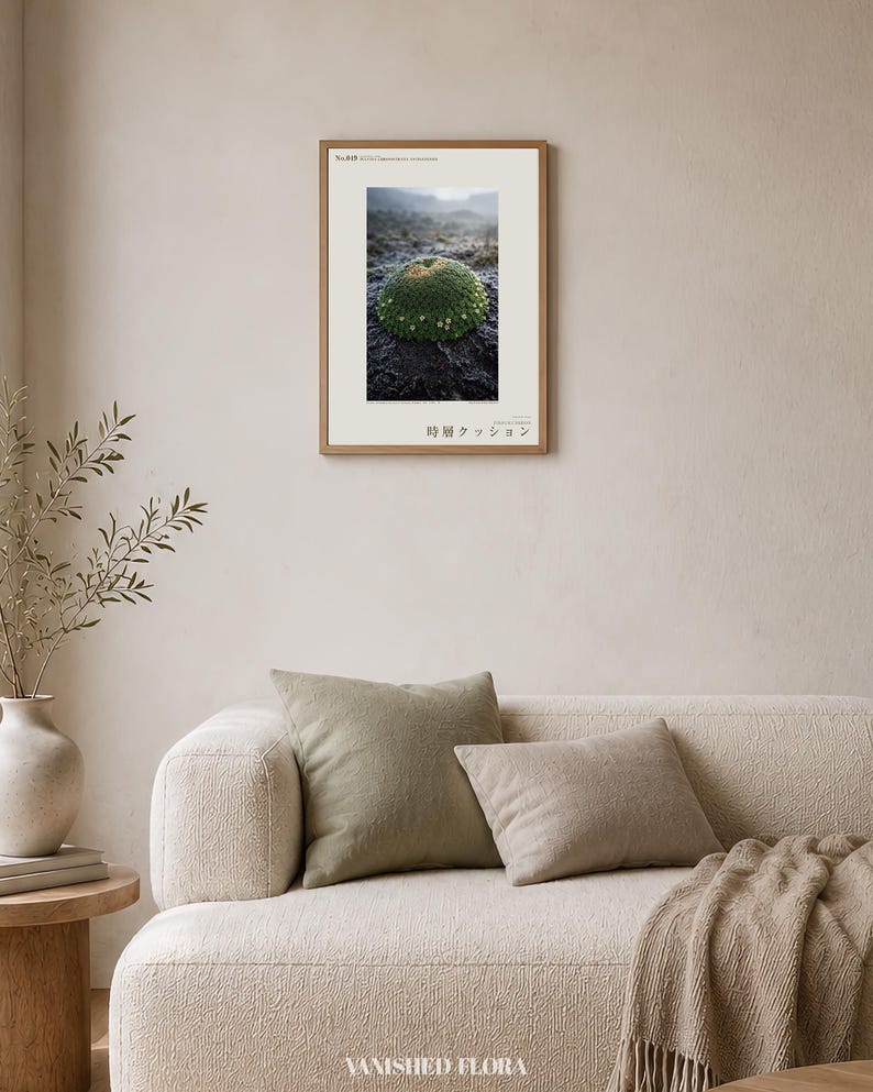 Photographie de coussin à travers les couches temporelles – Plante des Andes disparue, art mural gothique (téléchargement numérique) image 4