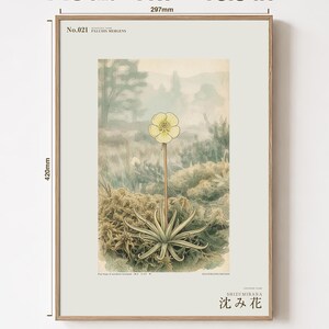 Sinking Bloom Botanical Print – Imaginary Scottish Bog Flower, Paludis mergens (Digital Download) image 5