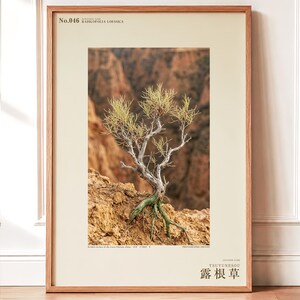 Fictional Radicofolia Loessica Print – Green Roots, Cottagecore Dark Academia Decor (Digital Download)