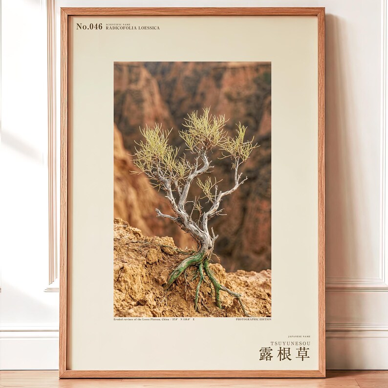 Fictional Radicofolia Loessica Print – Green Roots, Cottagecore Dark Academia Decor (Digital Download) image 1