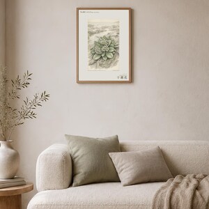 Extinct Shore Flower Print – Aestulittora Atlantica, Hebrides Botanical Art (Digital Download) image 4