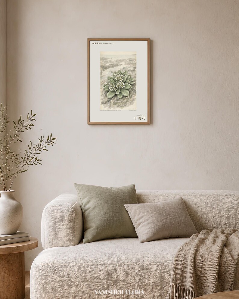 Extinct Shore Flower Print – Aestulittora Atlantica, Hebrides Botanical Art (Digital Download) image 4
