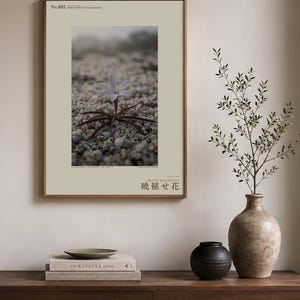 Frozen Flower Print – Vanished Bloom Specimen Photograph (Digital Download) image 3