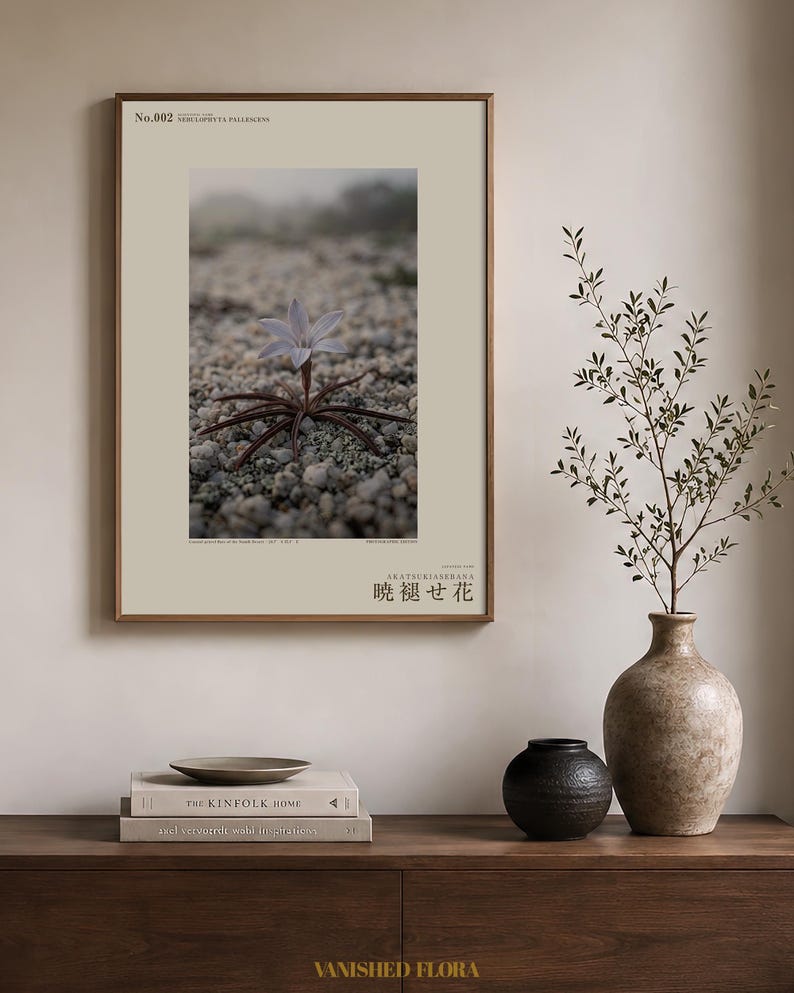 Frozen Flower Print – Vanished Bloom Specimen Photograph (Digital Download) image 3