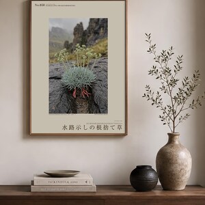 Channel-root Caster Botanical Print – Imaginary Drakensberg Herb, Moody Wall Art (Digital Download) image 3
