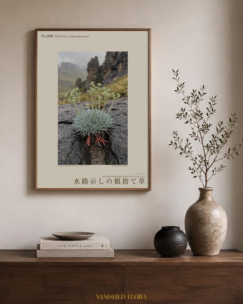 Channel-root Caster Botanical Print – Imaginary Drakensberg Herb, Moody Wall Art (Digital Download) image 3