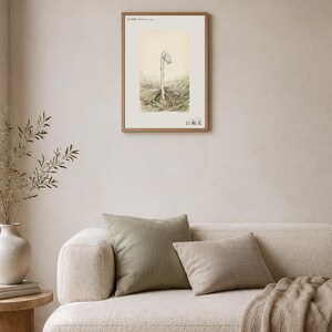 Pale Ghost-flower Print – Umbraflora pallida, Borneo Forest Bloom (Digital Download) image 4