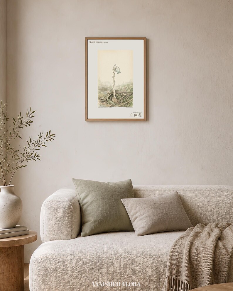 Pale Ghost-flower Print – Umbraflora pallida, Borneo Forest Bloom (Digital Download) image 4
