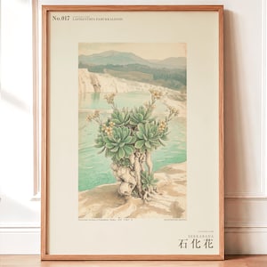 Petrifying Bloom Botanical Art – Fictional Lapidanthus Pamukkalensis Print (Digital Download)