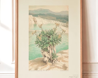 Petrifying Bloom Botanical Art – Fictional Lapidanthus Pamukkalensis Print (Digital Download)