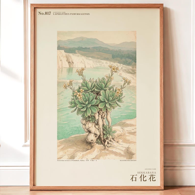 Petrifying Bloom Botanical Art – Fictional Lapidanthus Pamukkalensis Print (Digital Download) image 1