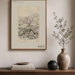 First-frost Bloom Print – Pruinanthus alpinus Alpine Flower Botanical Study (Digital Download) image 3