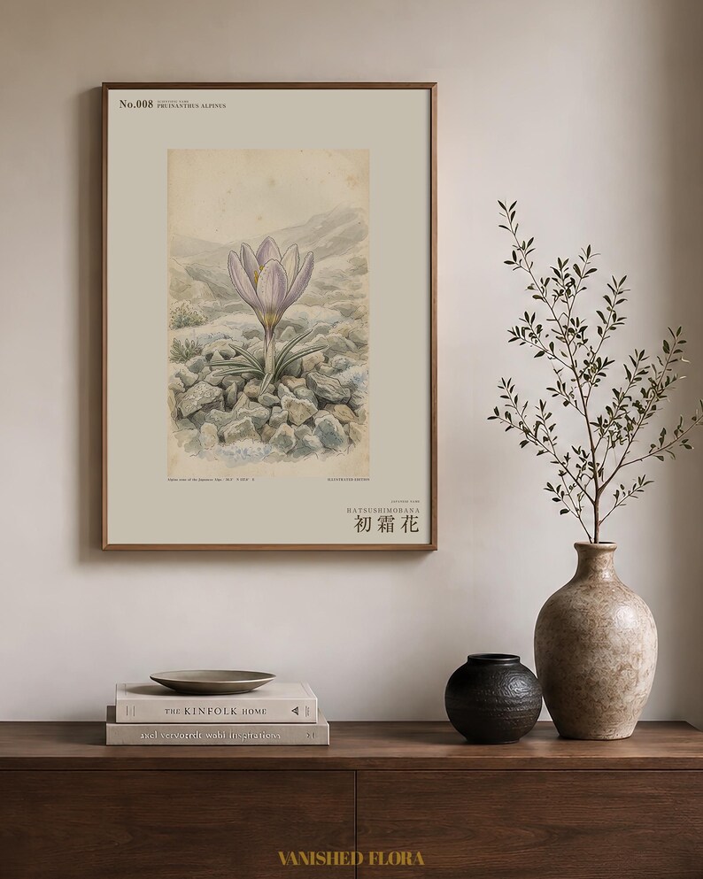 First-frost Bloom Print – Pruinanthus alpinus Alpine Flower Botanical Study (Digital Download) image 3