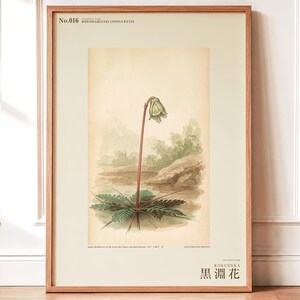 Imaginary Blackwater Flower Print – Rio Negro Bloom, Dark Academia Botanical Art (Digital Download) image 1