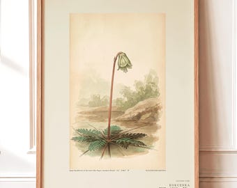 Imaginary Blackwater Flower Print – Rio Negro Bloom, Dark Academia Botanical Art (Digital Download)