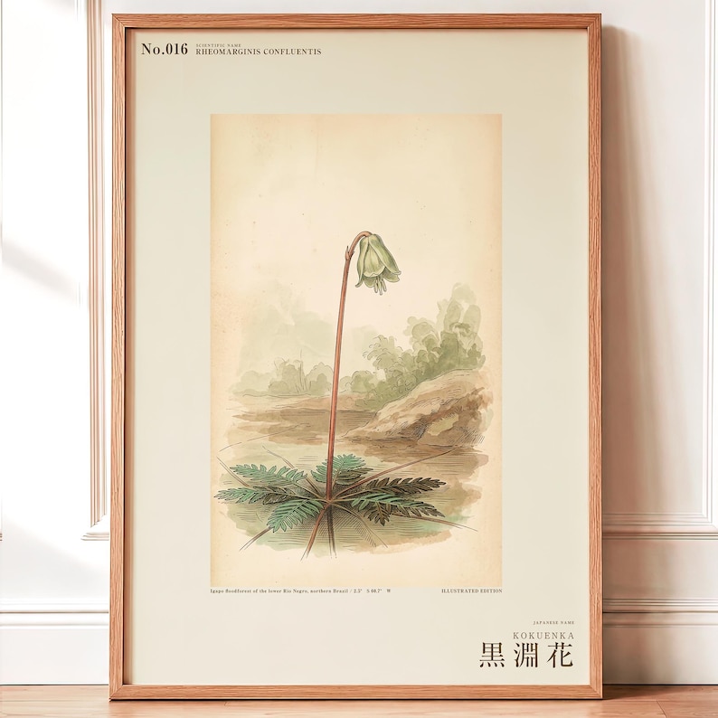 Imaginary Blackwater Flower Print – Rio Negro Bloom, Dark Academia Botanical Art (Digital Download) image 1