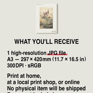 Fireborn Bloom Print – Pyrophila Resurgens, Extinct Cape Flower, Dark Academia Wall Art (Digital Download) image 8